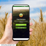 Crop Insurance App : घरबसल्या मोबाईलवर करता येणार पीक विम्यासाठी अर्ज; जाणून घ्या प्रोसेस