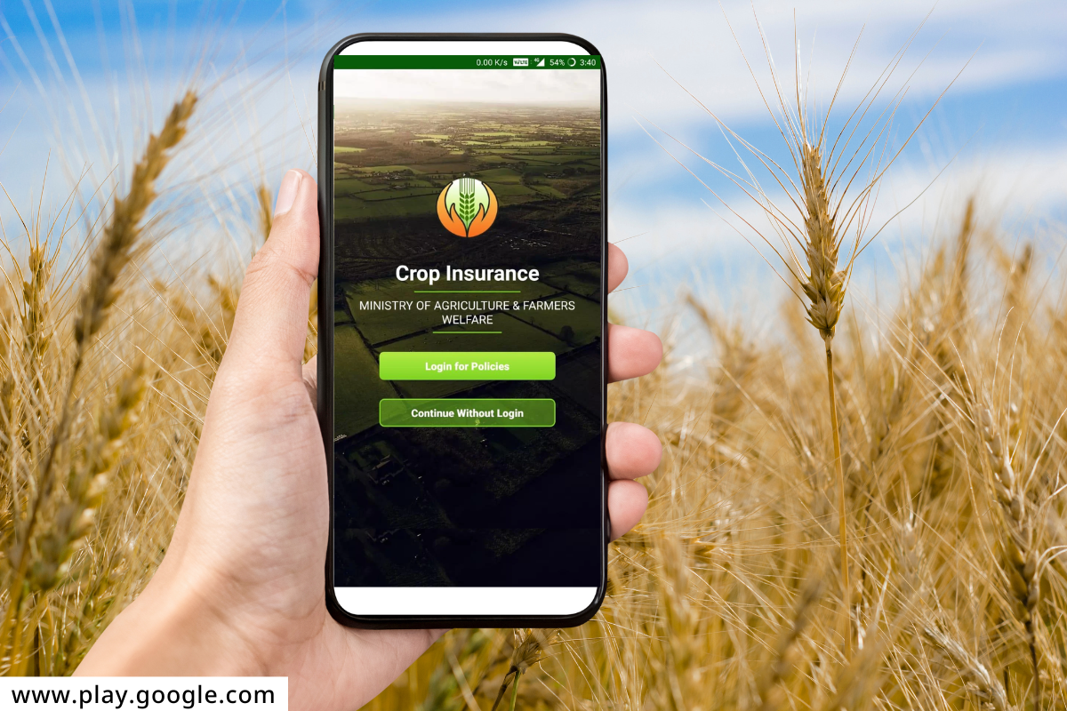Crop Insurance App : घरबसल्या मोबाईलवर करता येणार पीक विम्यासाठी अर्ज; जाणून घ्या प्रोसेस