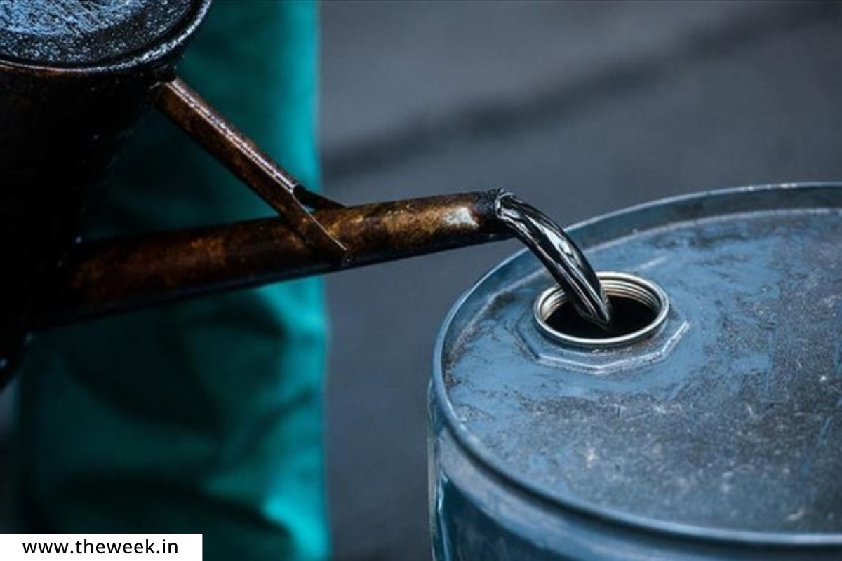 Crude Oil Import : रशियातून करण्यात येणाऱ्या कच्च्या तेलाच्या आयातीमध्ये घट, भारतीय कंपन्यांनी कमावला नफा