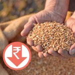 Wheat Prices in India