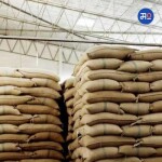 Rice exports : भारताने दिली तांदळाच्या निर्यातीला परवानगी; UAE ला मिळणार 75,000 टन साधा तांदूळ