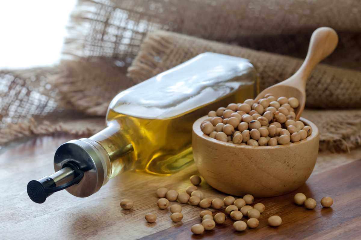 Mustard/soybean oil