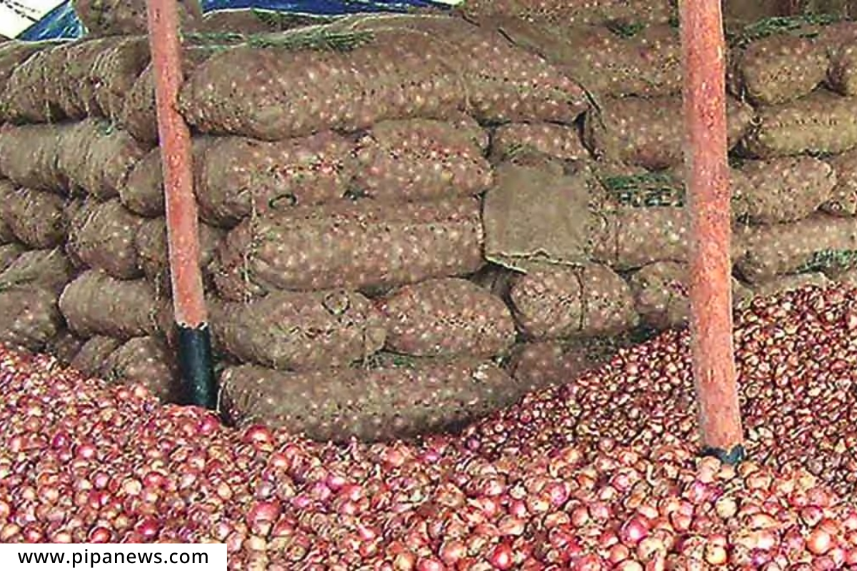 Onion Procurement : शेतकऱ्यांना दिलासा!!  NAFED करणार प्रति क्विंटल 2410 रुपये दराने कांद्याची खरेदी