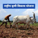 National Agricultural Development scheme
