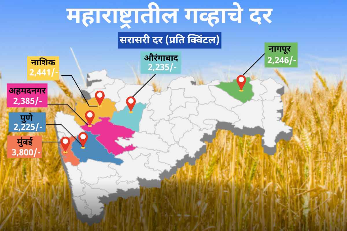 wheat-prices-in-maharashtra-1.jpg